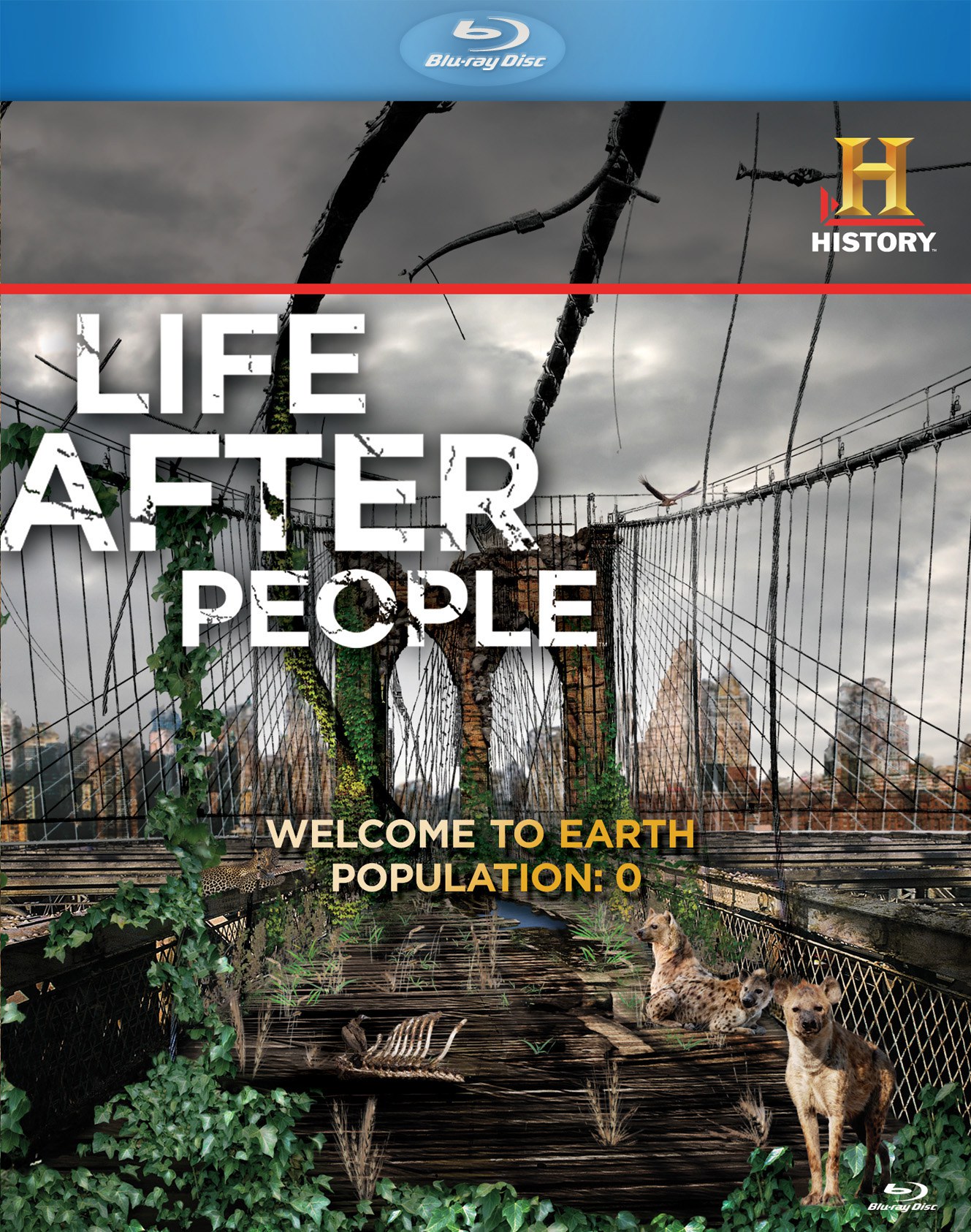 Life after 4. Жизнь после людей (Life after people) (2019).